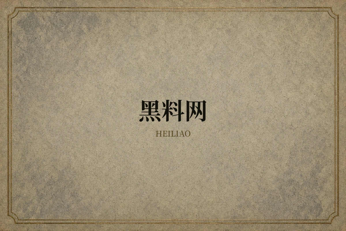 黑料网品牌视觉说明